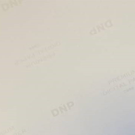 DNP-Standardpapier DSRX1HS-4X6 2 ROLLE � 700 St. 10x15 für DS-RX1HS