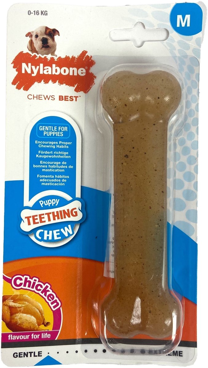 Nylabone Welpe kauen Hühnergeschmack