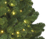 Everlands Weihnachtsbaum Kaiserkiefer210cm + LED beleuchtet