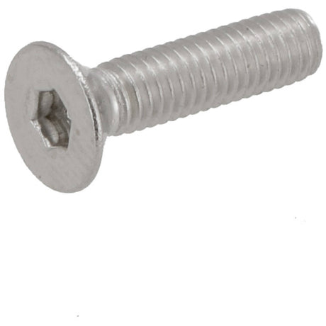 Verschiedene Baryonenbolzen m3*p0,5*l12mm (ev10)