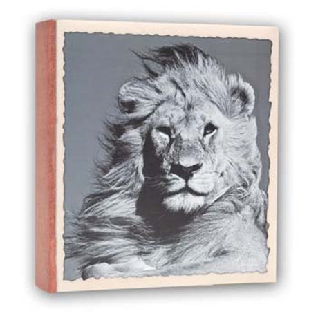 ZEP WL57100 Album Slip -in 100 Fotos 13x19 cm - 12 Alben