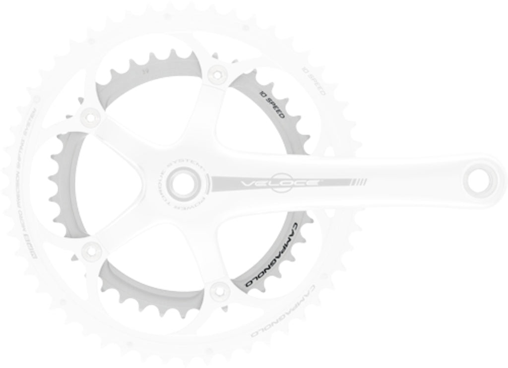 Campagnolo Kettenblatt Veloce