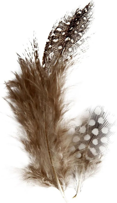Kreativunternehmen https: www.cchobby.nl Feathers-of-pearl-fowl-ca-100-piece-brown-3-gr-1-doos