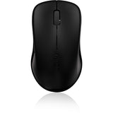 Rapoo Maus opt. 2,4 GHz Schwarz 1620