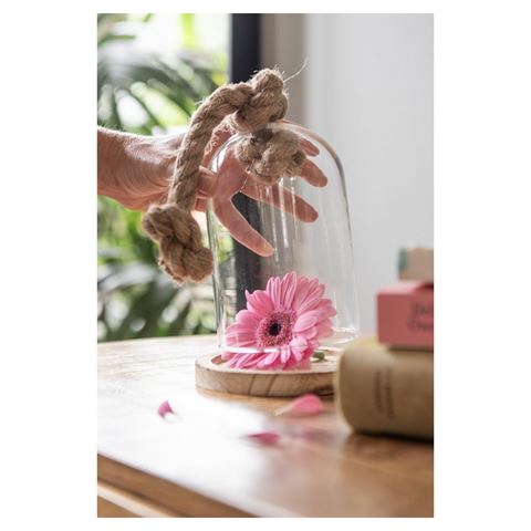 Clayre Eef Glasglocke 6gl2222 transparent 17x29 cm