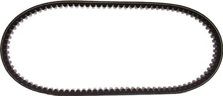 Polini Keilriemen verstärkt versteift Keilriemen versteift. 22x834mm