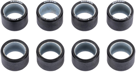 Malossi Variomatik-Gewichtsrollenkernsatz 25x17mm