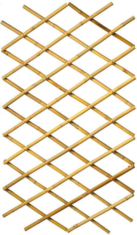 Nature Latwerk für Garten 45x180 cm Bambus 6040720