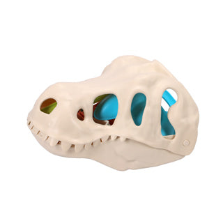 Kein Marken-Dino-Strandset | 3 Stück