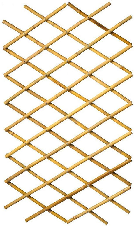 Nature Latwerk für Garten 100x200 cm Bambus 6040722