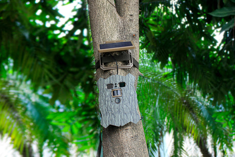 Stealth Gear Owl Solar 4K WLAN-Wildkamera