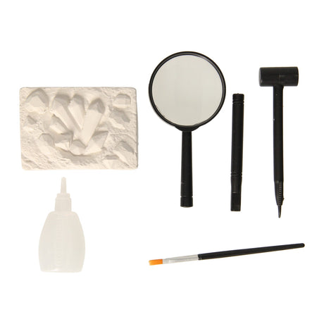 Rc insecten aheologie