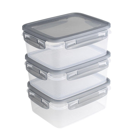Sunware Club Cuisine Gefrierbox-Set mit Clips, 3er-Set, 1,2 l, transparentes Grau