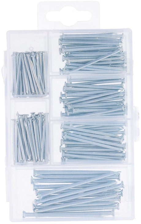 Kinzo spijkerset - 165-delig assortiment staalspijkers - maten 80x2,5cm, 70x3,5cm en 15x5cm - handig opbergsysteem inbegrepen - geschikt voor huis, tuin en werkplaats