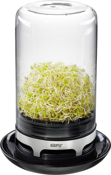 Gefu Sprossenglas bivita® – frische Sprossen ganz einfach zu Hause züchten