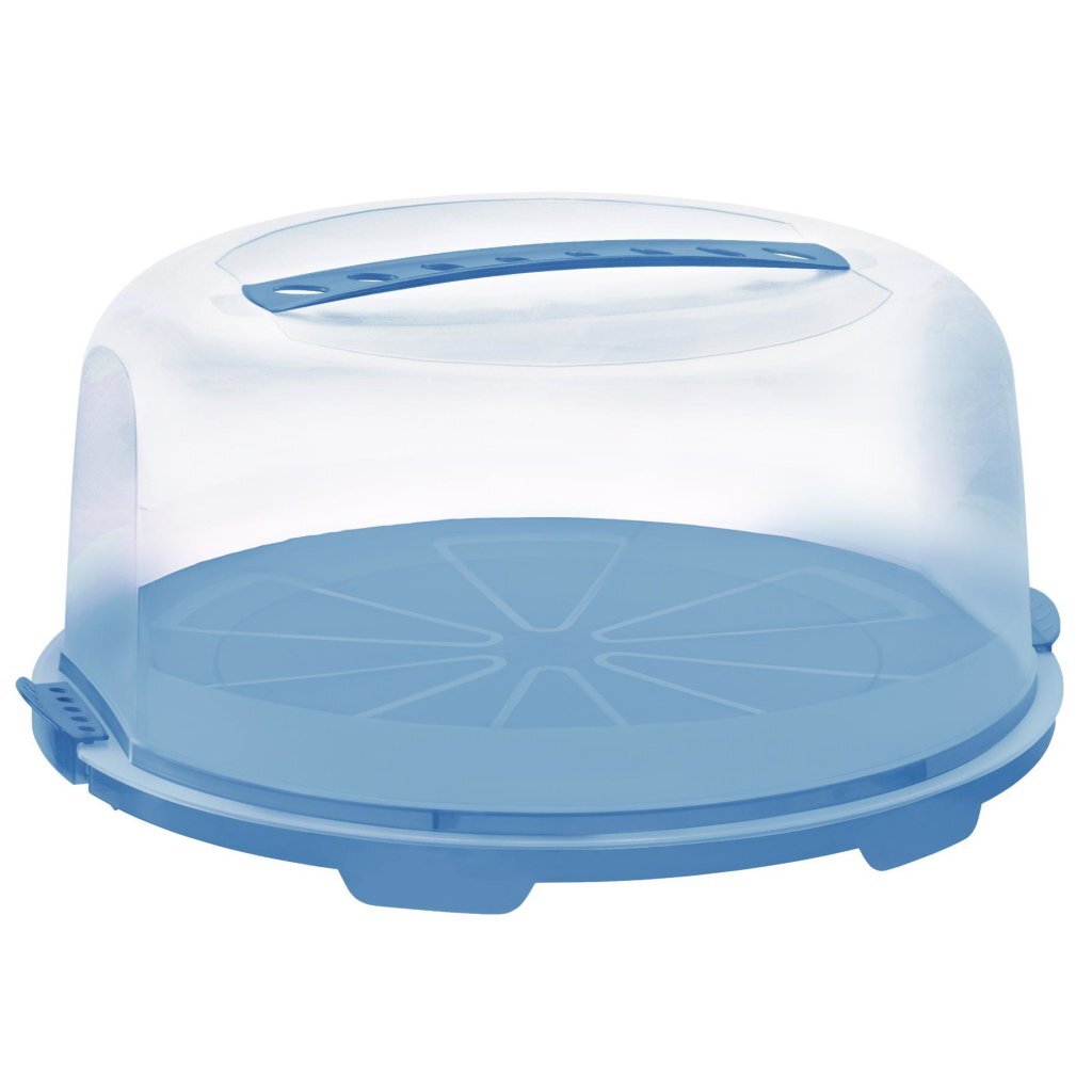 Rotho Frischkuchenbox 34,5x35,5x16,5 cm Horizontblau transparent