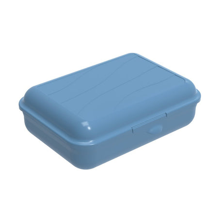 Rotho Fun Lunchbox 1,25l Horizontblau