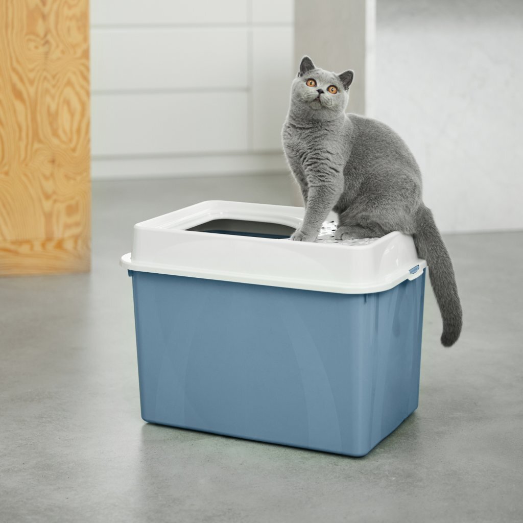 Rotho Eco Berty Katzentoilette mit oberem Eingang, blauer Sand