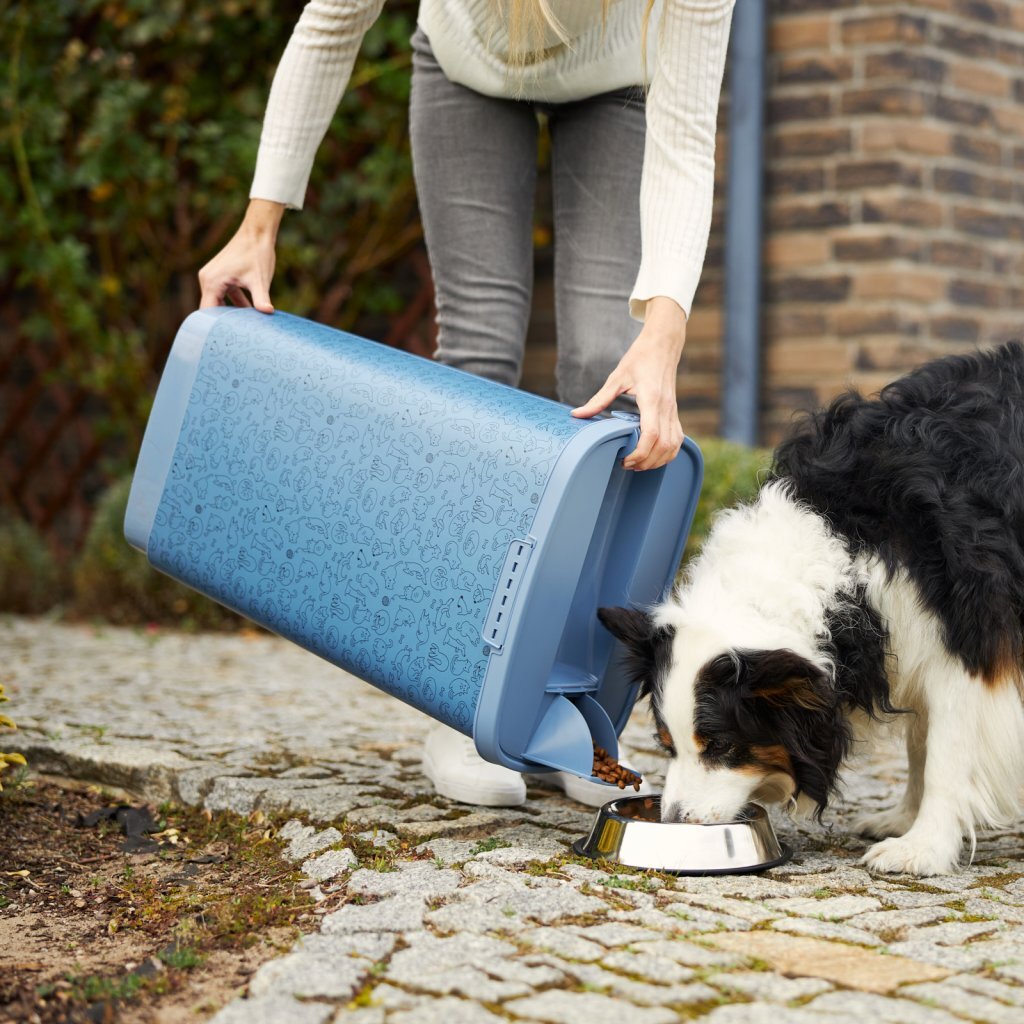 Rotho Rotho Cody Tiernahrungsbehälter, 50 l, Blau