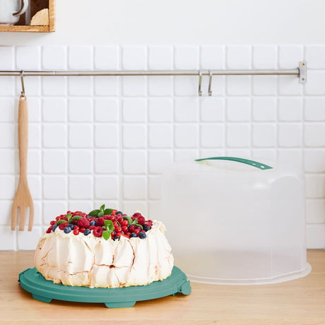Rotho Frischkuchenbox XL 35,5x34,5x26 cm Mistelgrün transparent