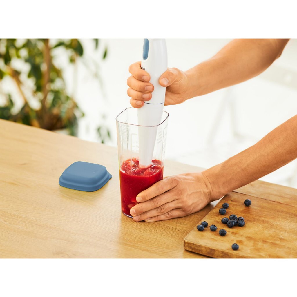 Rotho Shaker mit Presse 1 l Loft Horizon blau | 2 Stk