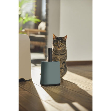 Rotho mypet Reinigungsset 16,2x9,1x29 cm - Katzentoilette - Grün Anthrazit
