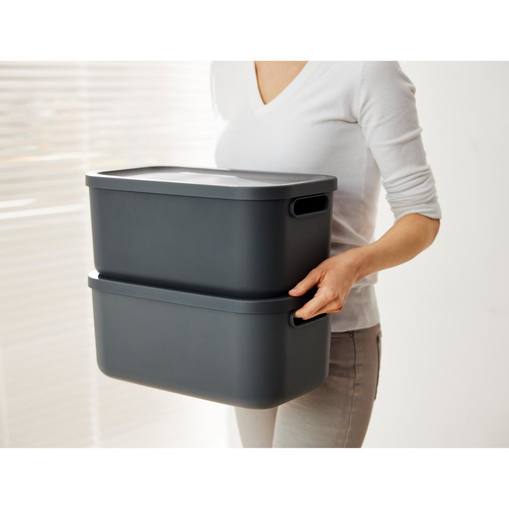 Rotho Albula Aufbewahrungsbox 12l Anthrazit