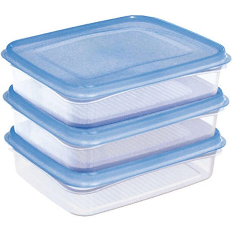 Sunware Club Cuisine Gefrierbox-Set, 0,7 Liter, transparent, blau, 3-teilig, 17,5 x 14 x 4,4 cm