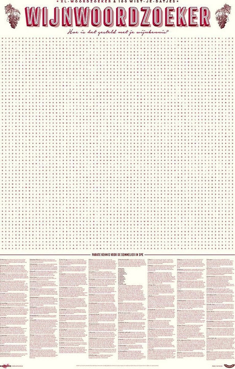 Stratier xl spelposter - 100 wijntermen woordzoeker – wijn – weetjes - spel