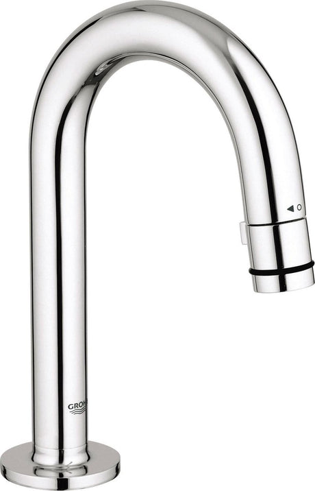 Grohe Universal-Brunnenhahn - 1 2'' Anschluss - ohne Ablaufgarnitur - Chrom