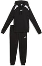 Puma hooded sweat suit fl cl