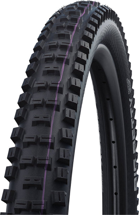 Schwalbe – Big Betty Performance Bikepark 26x2,40