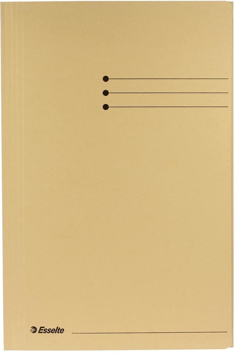 Esselte Ordner mit 3 Klappen, 240 x 318 mm, beige
