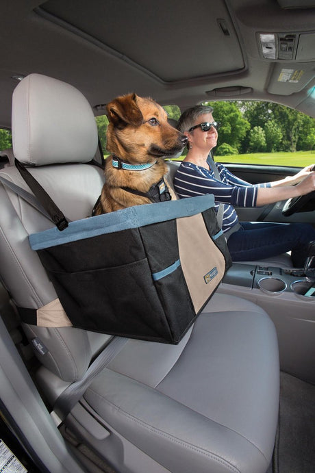 Kurgo Rover Sitzerhöhung – erhöhter Autositz mit einfacher Befestigung für kleine Hunde bis 13 kg – schwarz blau 30 x 40 x 20 cm