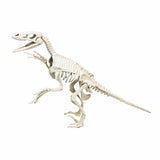 Clementoni Science Game Archäospel Velociraptor