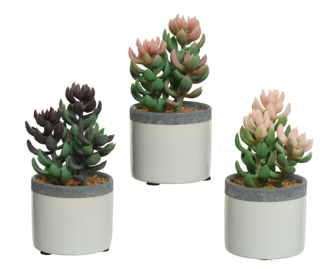 Decoris Kunstpflanze Sukkulente im Keramiktopf H14