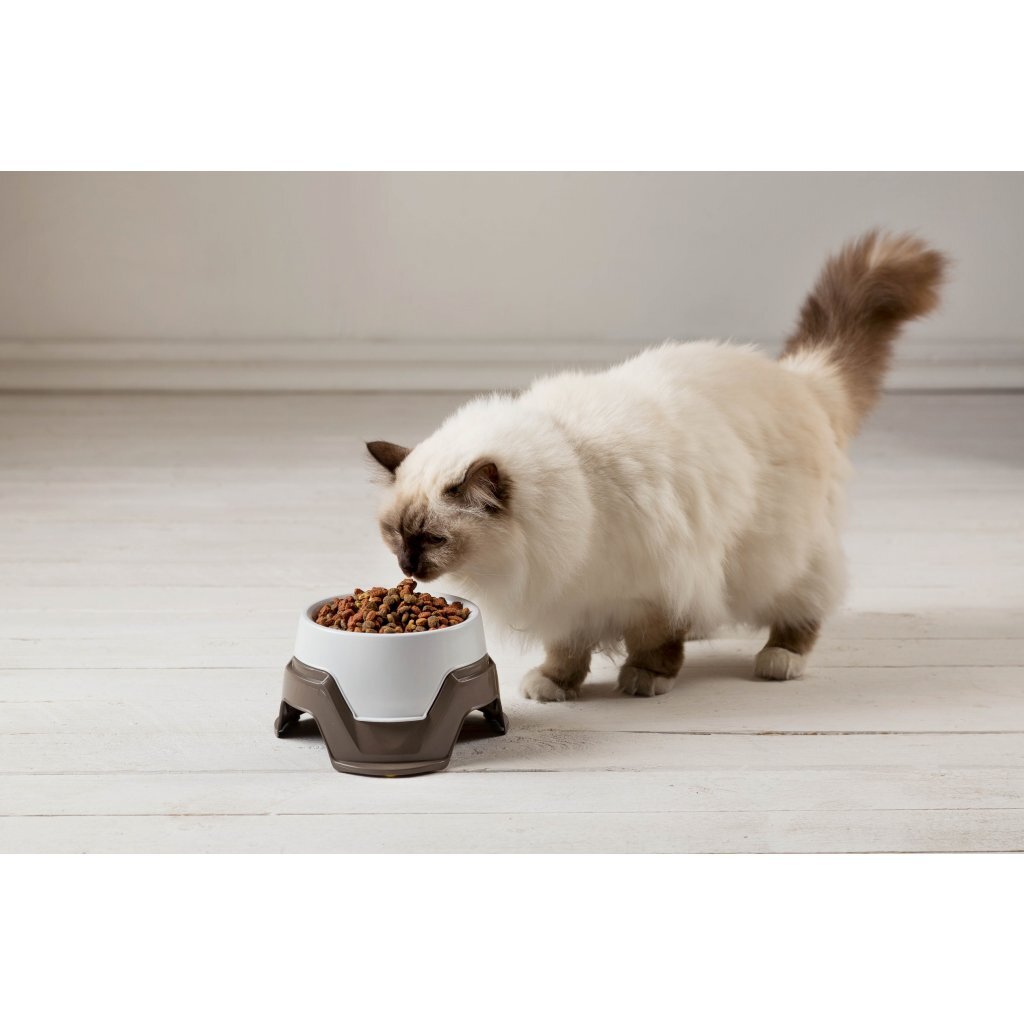 Bama Tierfutternapf stapelbar 19x10-13 cm sortiert