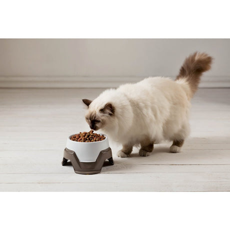 Bama Tierfutternapf stapelbar 19x10-13 cm sortiert