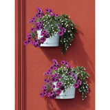 Bama Tulipano Blumentopf 5l 34,5x19x30 cm 4 Stück weiß