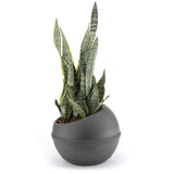 Bama Sfera Blumentopf 23l 40,5x32 cm anthrazit