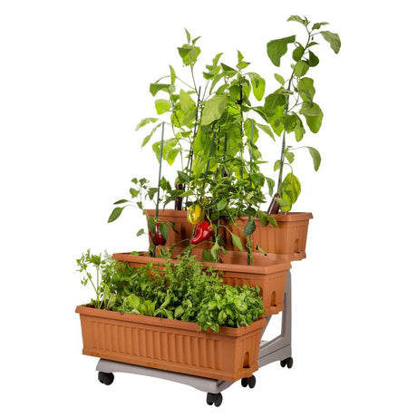 Bama orto di kit Pflanzgefäße 80x74x73 cm Terrakotta