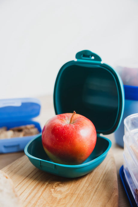 Day to day set van 2 fruitdoosjes – universele beschermhoes voor rond fruit – bpa-vrij, recycleerbaar vaatwasmachinebestendig – gemaakt in belgië – appeldoos – groen