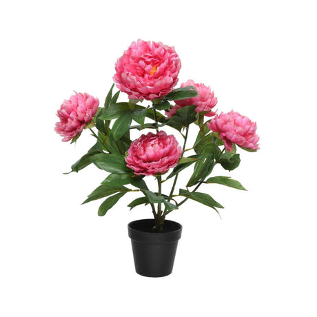 Decoris Kunstpflanze Pfingstrose im Topf Polyester 41x47x57cm fuchsia