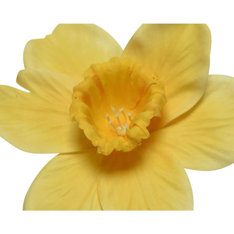 Decoris Kunstblume Narzisse Polyester 11x11x39cm gelb weiß 2-fach sortiert