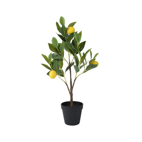 Decoris-Zitronenbaum im Polyestertopf, Durchmesser 24 x 60 cm