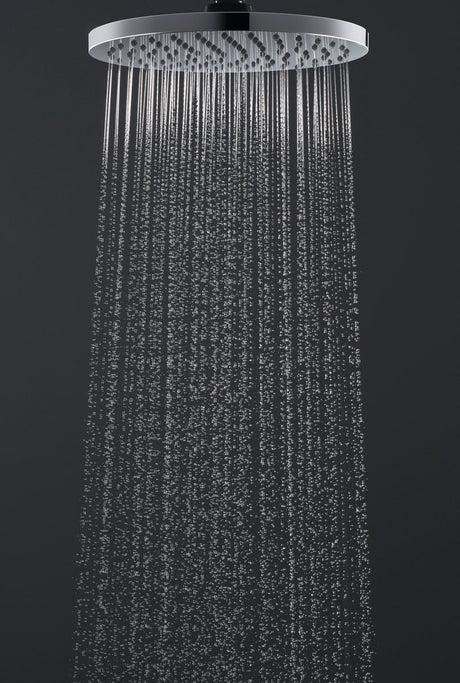 Hansgrohe Lack-Kopfbrause 20 cm Ecosmart Chrom