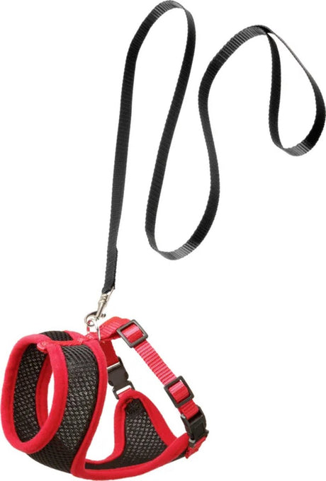 Flamingo harnas met looplijn harms voor katten – zwart rood – geschikt voor europese korthaar, ragdoll, siamees – 32 cm borstomvang