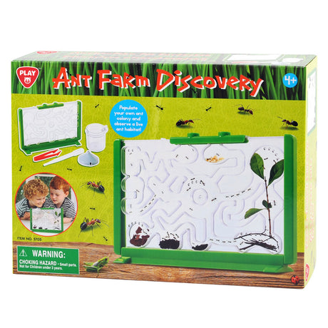 Ameisen-Beobachtungsbox von Playgo
