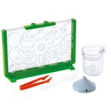Spielameisen-Beobachtungsbox