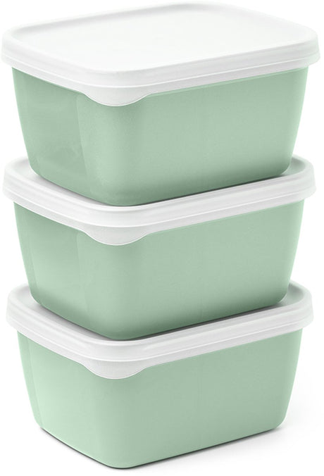 Amuse optifridge Bio-Lebensmittelbehälter – 3 x 900 ml – Biokunststoff-Aufbewahrungsbehälter mit Deckel – stapelbare Aufbewahrungsboxen – Meal-Prep-Behälter – BPA-freier Lebensmittelbehälter – grün – 122 x 153 x 120 mm